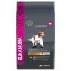 Eukanuba Dog Adult Sml/Med Lamb And Rice 12kg