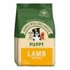 James Wellbeloved Puppy Lamb And Rice 2Kg