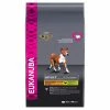 Eukanuba Adult Medium Breed Chicken 12kg