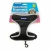 Travel And Exercise Harness S