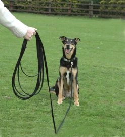 Coachi Training Line 5 Metre Navy & Lime