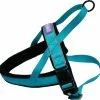 Reflective And Padded Harness Aqua 0.75inch X Chest 20-24inch