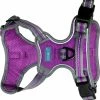 Sports Harness Large Purple