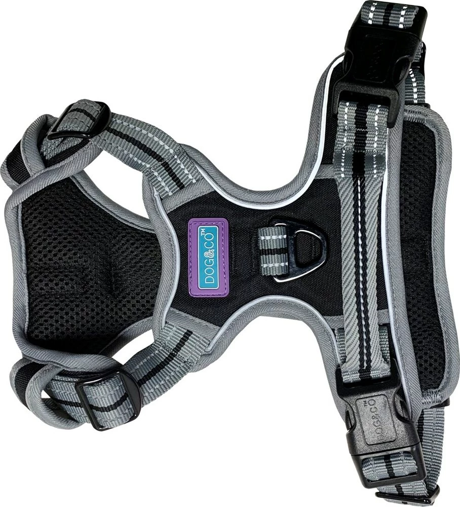 Sports Harness Black Large
