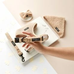 Cocopup London Teddy Rupert Collar Large